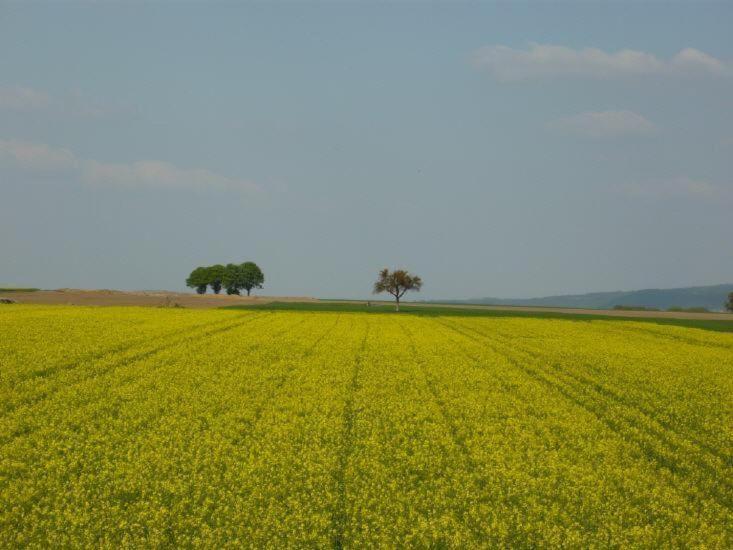 Münstermaifeld Ferienwohnung-Zum-Kueppchen מראה חיצוני תמונה